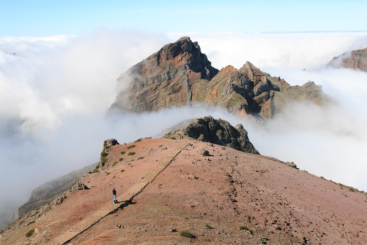 Alles over het gebruik van een rookplank
