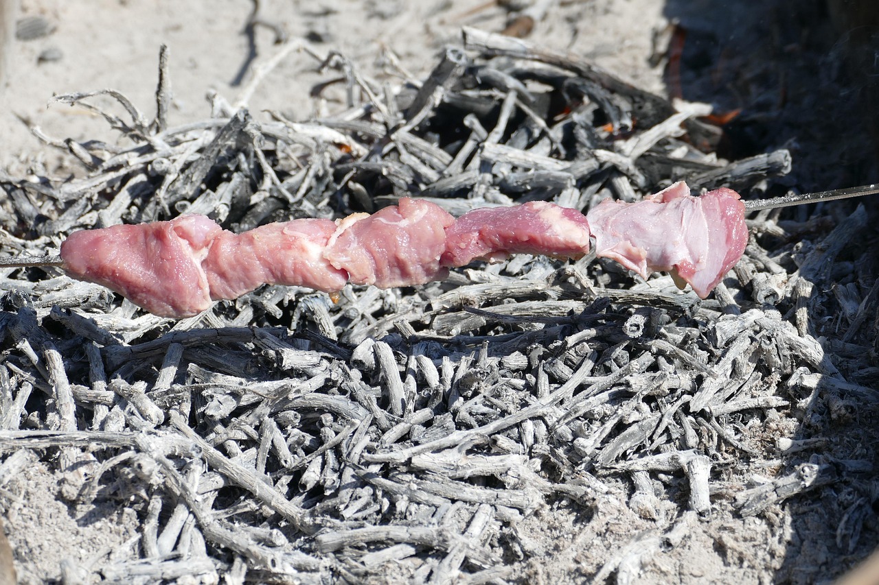 Wat is het verschil tussen gas en houtskool BBQ