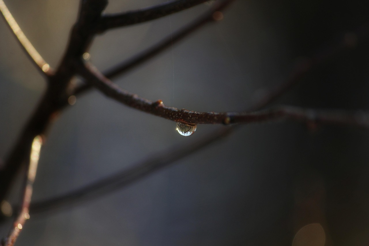 De beste tips voor barbecueën bij regen